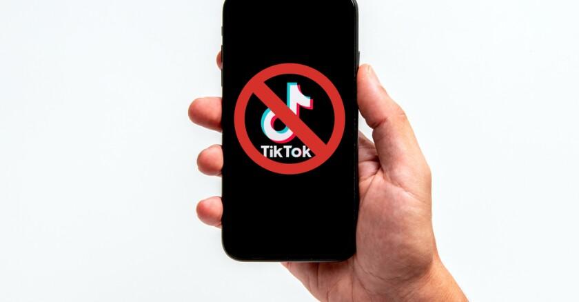 Is TikTok About to Vanish Forever?