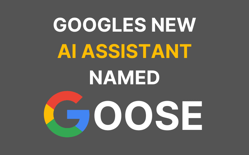 Goose - How Google's New AI Model is Changing the Game for Coders